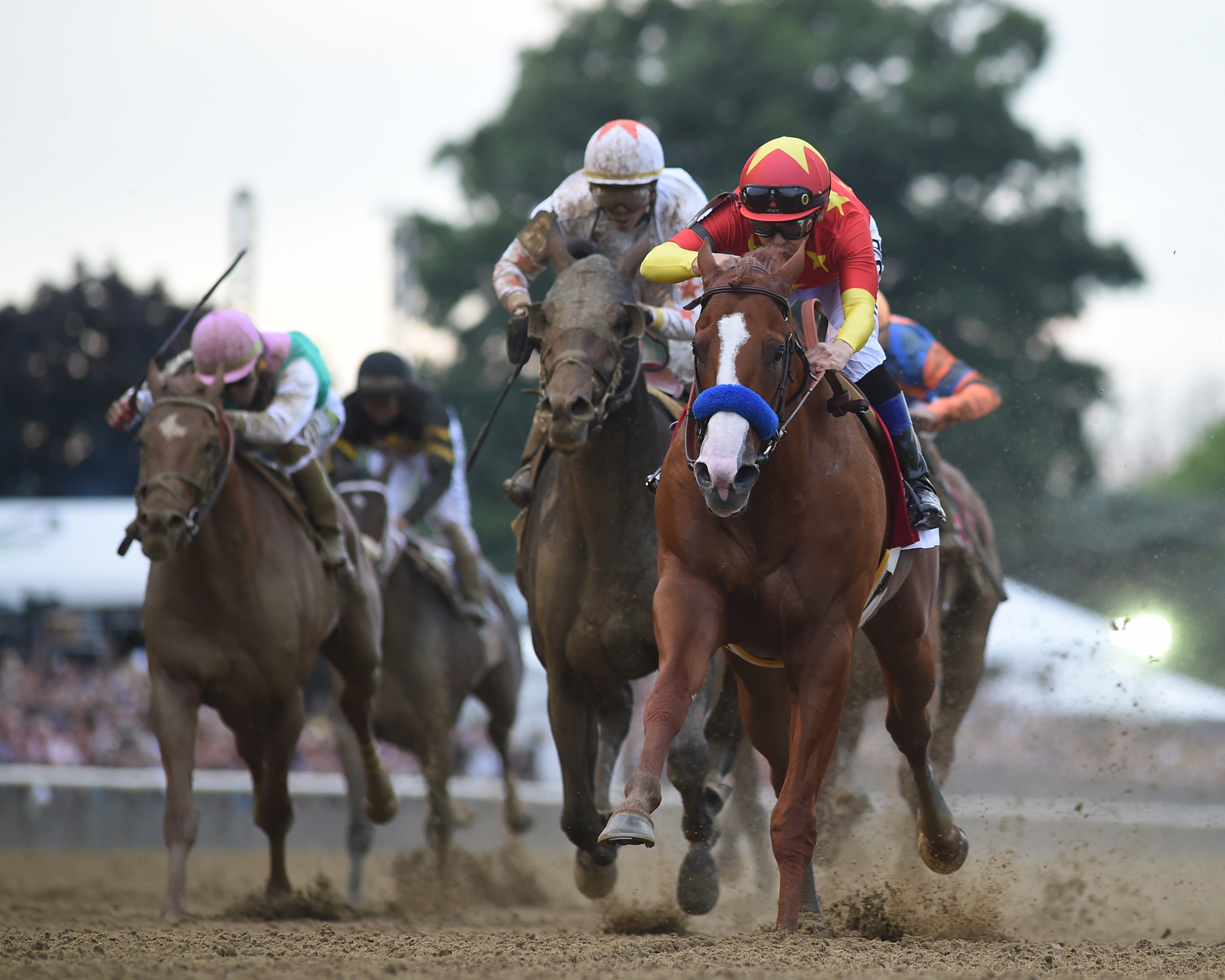 Triple Crown Winners Belmont Stakes